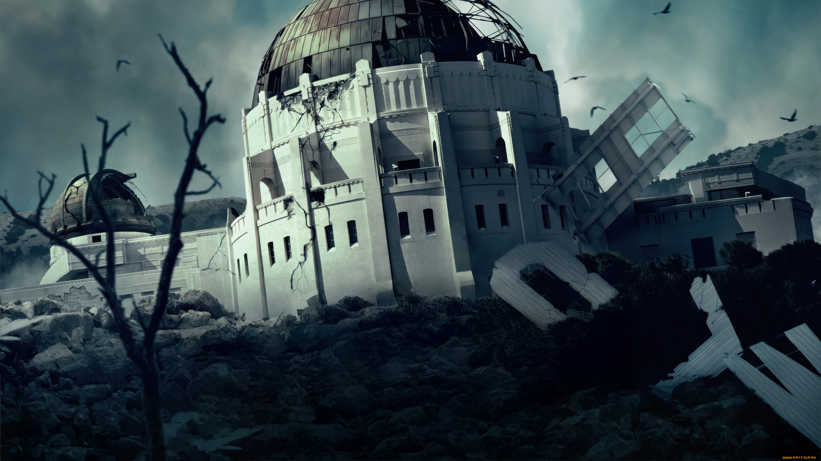 greenland,  migration, ���� ������, migration, ����������, 2, ��������